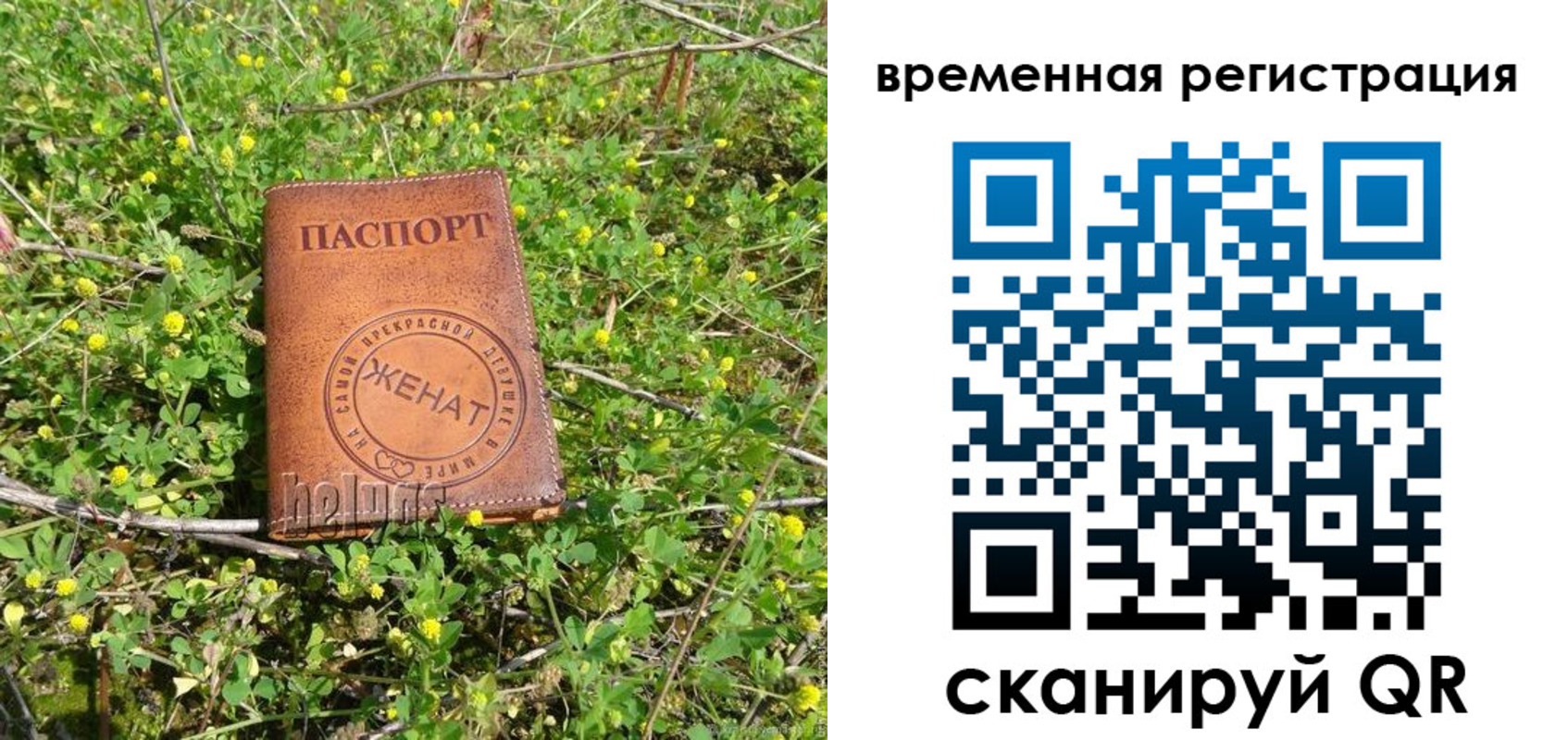 прописка регистрация в Топках